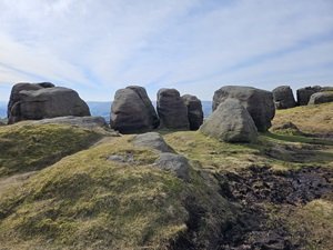 YES Energy Solutions - Bridestones Rewilded - YES's support of the restoration of local peatlands