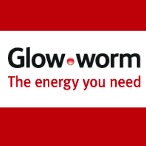 Glow-worm
