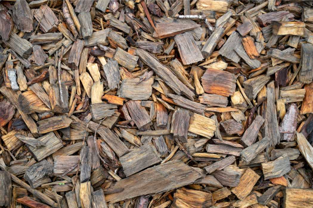 Which is better for a biomass boiler wood chips vs wood pellets